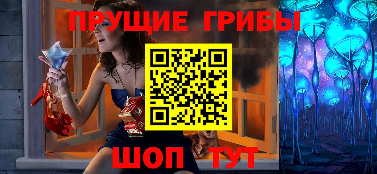 Галлюциногенные грибы Psilocybe Лангепас